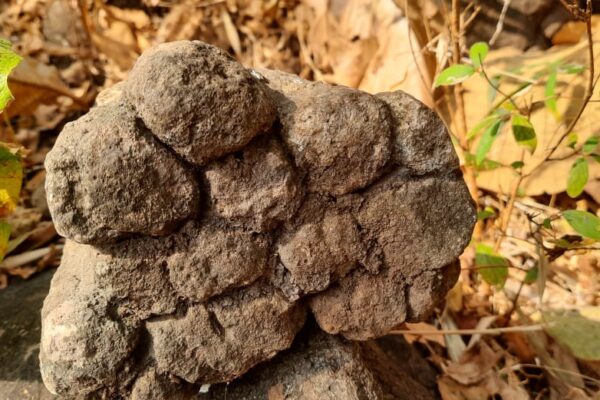Miniature columnar basalt rocks