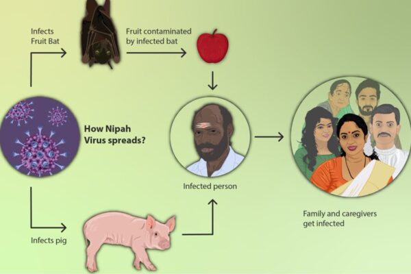 Nipah Virus