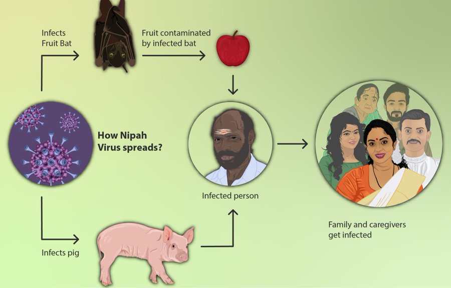 Nipah Virus