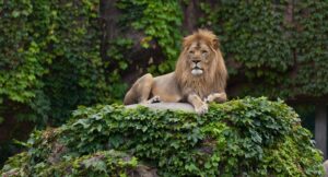 Zoo