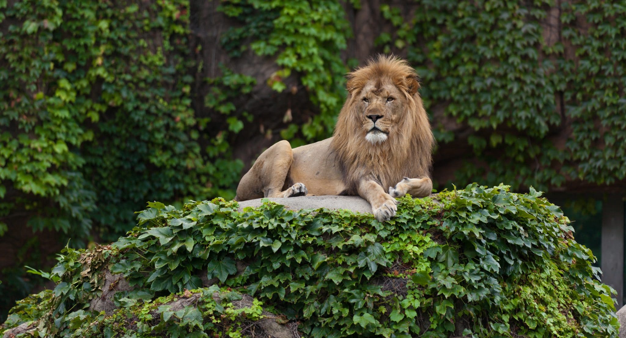 Zoo
